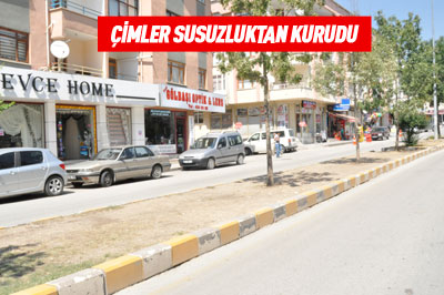5.20140905001913.jpg
