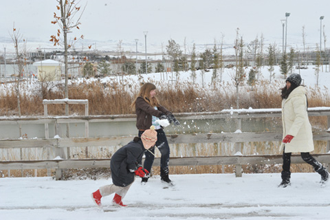 mogan-park-(2).jpg