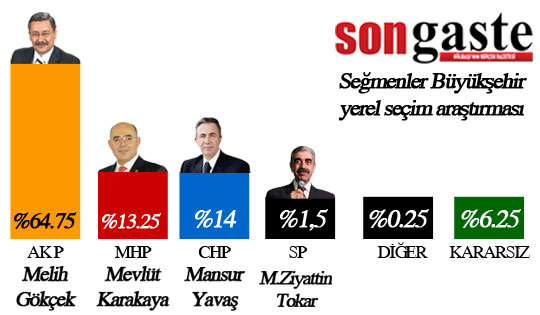 segmenler-buyuksehir-oy-orani.jpg
